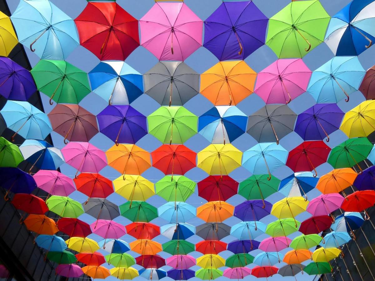 When to Get Umbrella Insurance: Assessing Your&nbsp;Need